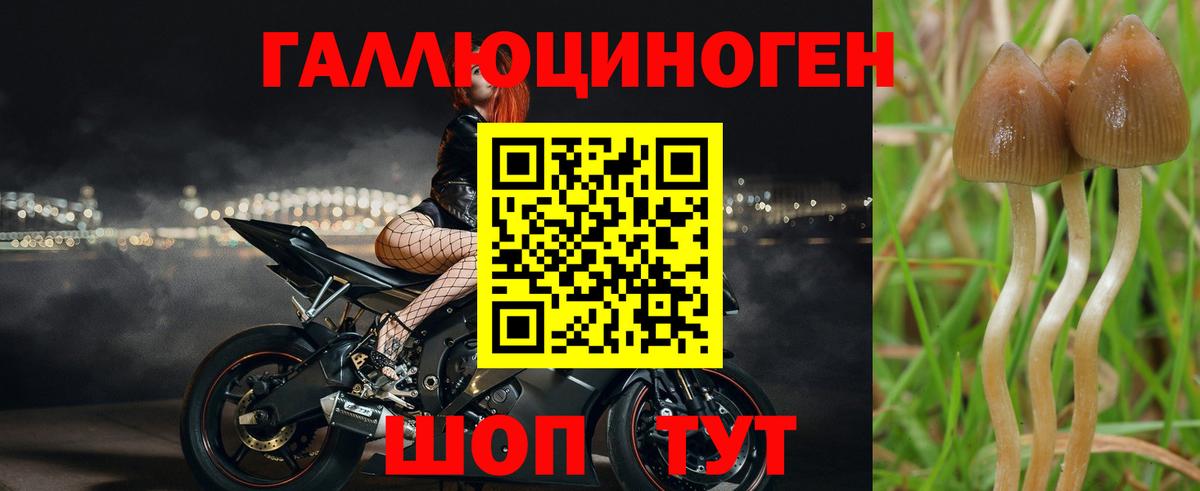 Арзамас  Галлюциногенные грибы ЛСД  Вход с VPN  как найти закладки  Галлюциногенные грибы Psilocybe 